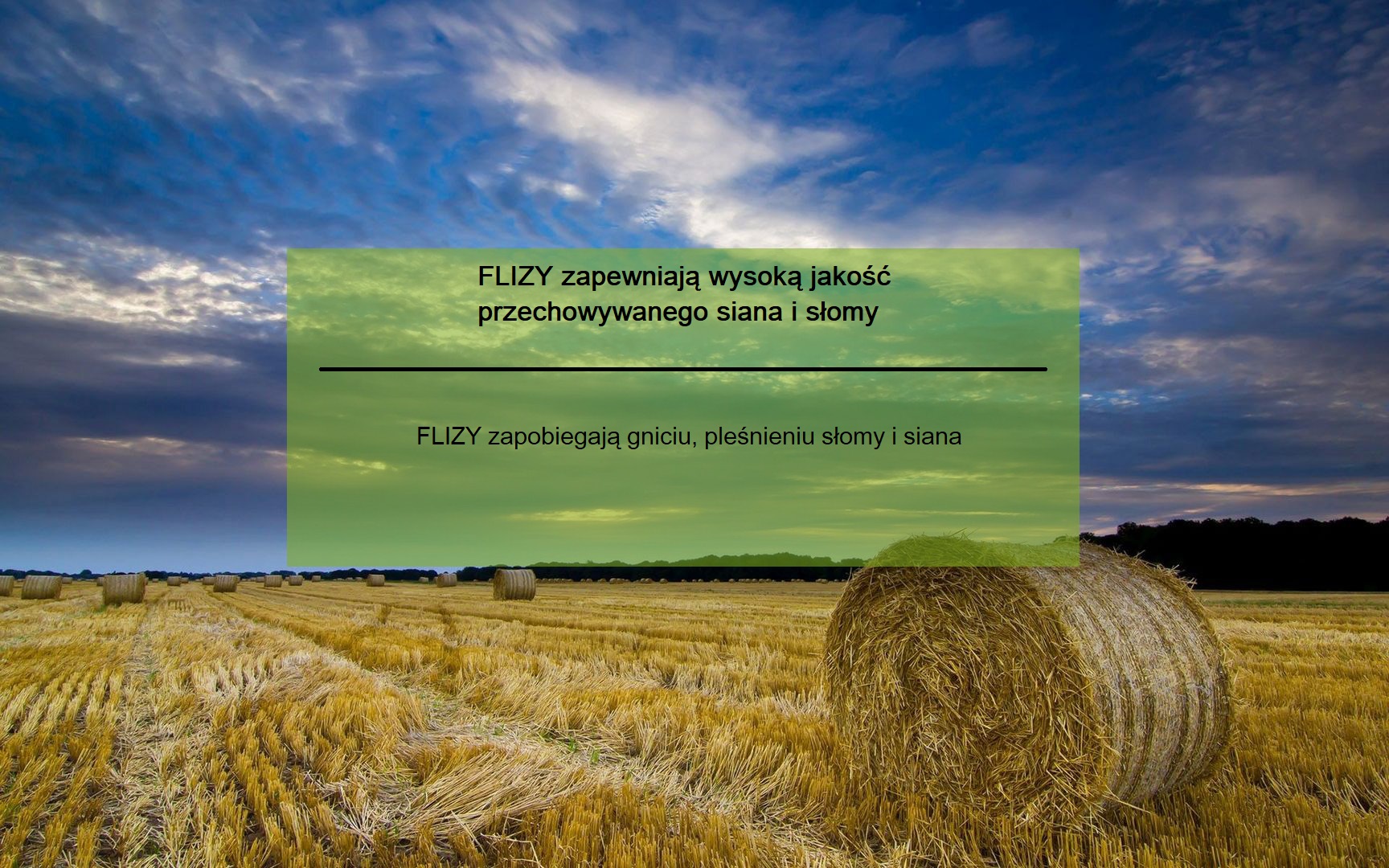 fliz1